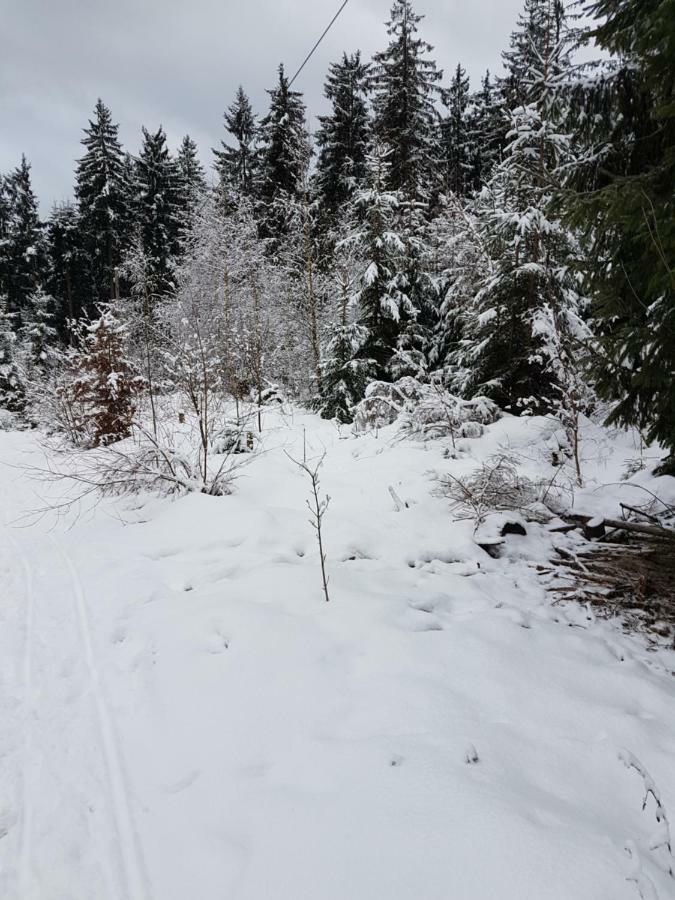 Rosalie - Lake - Hiking&Swimming - Cozy&Nature Winterberg Exteriör bild